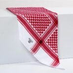 ⁦بكج الرسمي(مونت بلانك وقوتشي )⁩ - الصورة ⁦8⁩